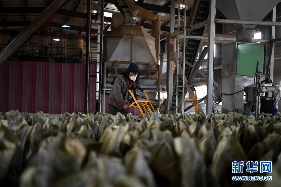 ���»�ȫýͷ����ͼ�Ļ�������7��ΪƯ���й�������ɫ��������2019��̫ԭ��Դ��̼������̳�ͷ���ɫ�������ź�