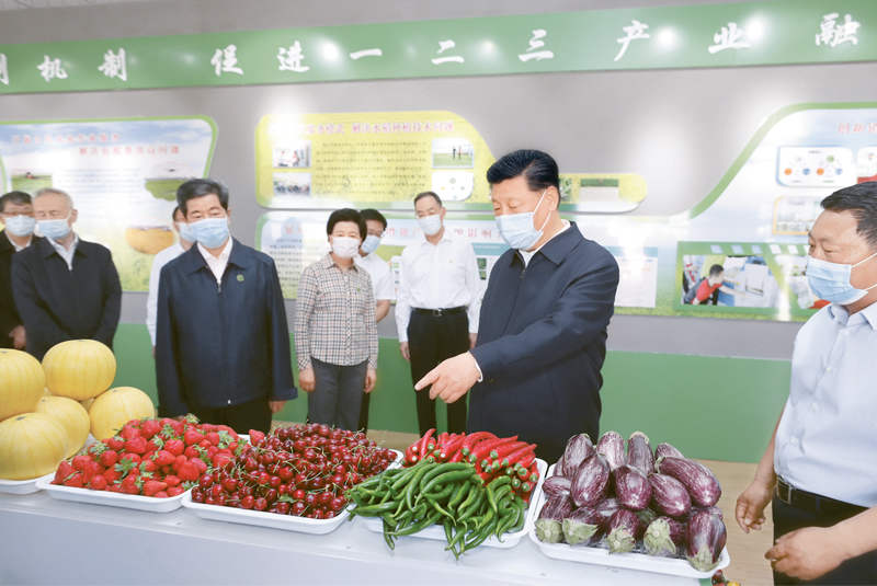 pg�ͽ�Ů��(�ٷ�)����IOS/��׿��/�ֻ���APP����