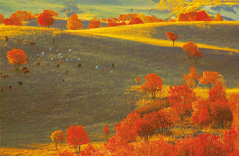 pg�ͽ�Ů��(�ٷ�)����IOS/��׿��/�ֻ���APP����